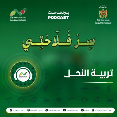 بودكاست سِرْ فْلاَحْتِي : الحلقة 5 حول موضوع تربية النحل