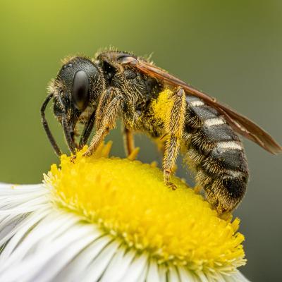 E44: Изменението на климата и застрашените видове животни и растения E44: Изменението на климата и застрашените видове животни и растения