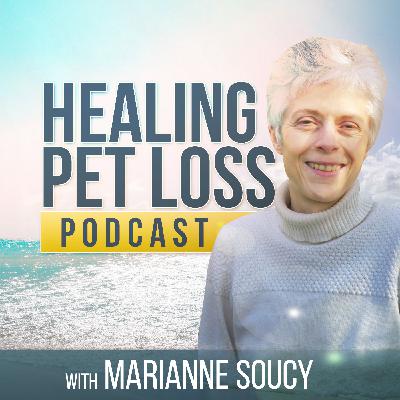 Meeting Angel Dog Juggy at the Rainbow Bridge