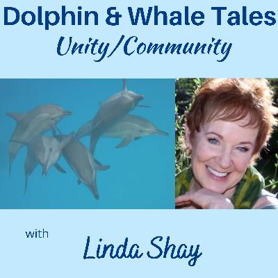 8 Unity/Community with Linda Shay