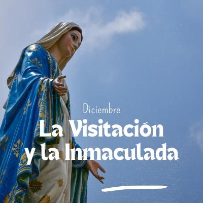 La Visitación y la Novena de la Inmaculada La Visitación y la Novena de la Inmaculada