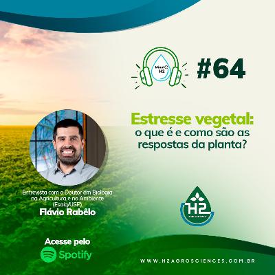 Estresse vegetal: o que é e como são as respostas da planta?