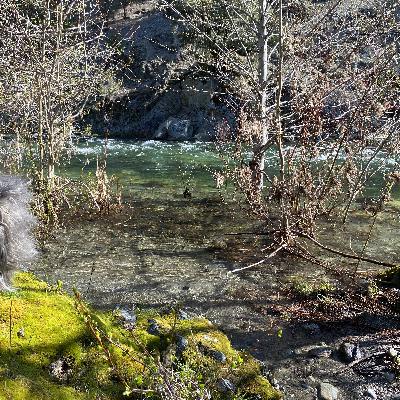 171: Spring Day Beside the North Fork of the Salmon River