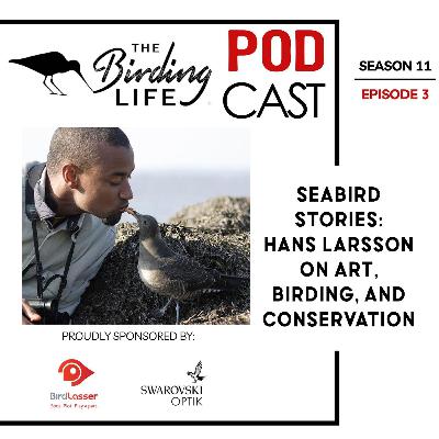 TBL Podcast Season 11 Episode 3 - Seabird Stories: Hans Larsson on Art, Birding, and Conservation