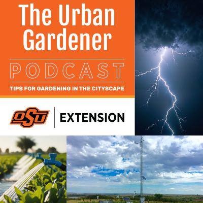 Episode 56: Oklahoma Mesonet & You