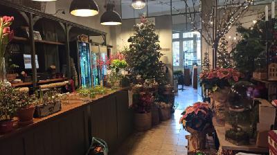 Flor de Saúco, una Navidad elegante y natural