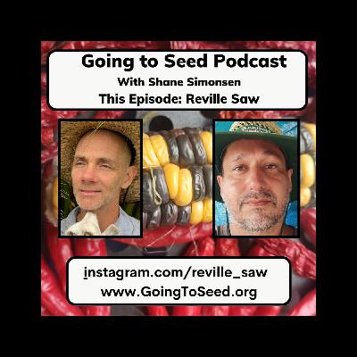 Reville Saw