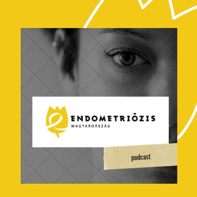 Egyenrangú félként jelen lenni a konfliktus megoldásban - dr. Szilvássy Rita mediátor