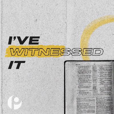 I’ve Witnessed It: Evidence for the Creator and Christ