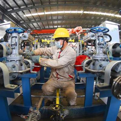 China has over 17,600 national-level "little giant" firms