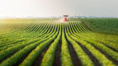 Farm Foundation Tackle Ag Challenges