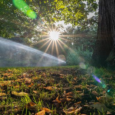 Wie wässert eigentlich der Palmengarten in diesen trockenen Zeiten? - Wasser Teil 1 (Video)