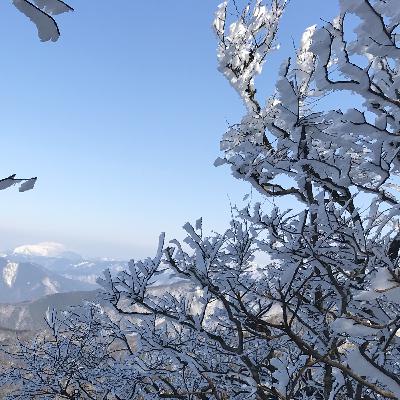 #38 樹氷とアイスモンスター。雪山の中の美しさを観る【草とか石とかのラジオ】