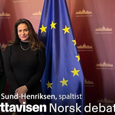 Freedom of expression is here to stay 🇳🇴