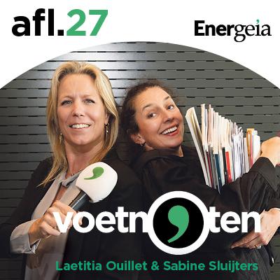 De plussen en minnen van de thuisbatterij