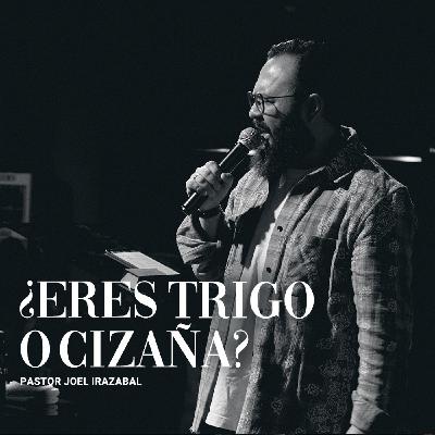 ¿Eres Trigo O Cizaña? I Pastor Joel Irazabal