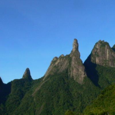 195 Garrafao, Brazil - Search for Kinglet Calyptera 195 Garrafao, Brazil - Search for Kinglet Calyptera