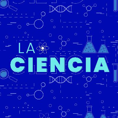 La Ciencia | Asi es el descubrimiento de nuevas especies animales en una expedición