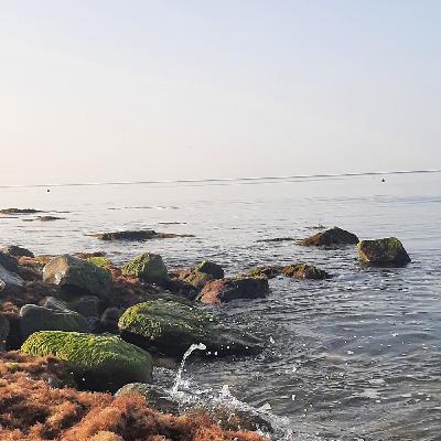 Южный вечер