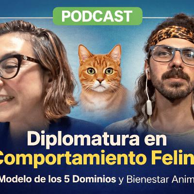 Podcat E19 T3 Comportamiento felino y Ciencia Podcat E19 T3 Comportamiento felino y Ciencia