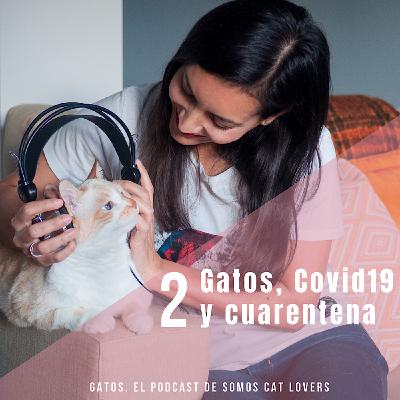 Episodio 2. Gatos, covid19 y cuarentena