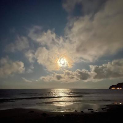 はっしーと長い雑談