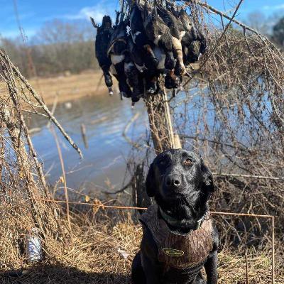 #126: Fowl Play Productions