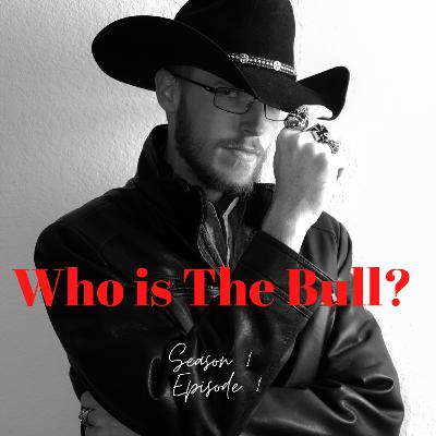 Who is The Bull? What Struggles Artists Go Through Everyday?