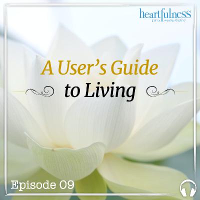 Love and Piety - Spiritual Secrets Love and Piety - Spiritual Secrets