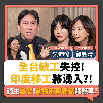 【下班瀚你聊】全台缺工失控!印度移工將湧入?!飼主暴怒!吳沛憶.郭昱晴:動物用藥新制踩煞車!2026-04-15 Ep.368