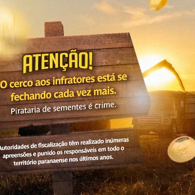 MOMENTO APASEM #117: Cerco aos infratores de sementes piratas está se fechando cada vez mais