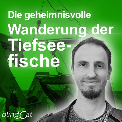Die geheimnisvolle Wanderung der Tiefseefische. Tim Dudeck und die größte Tierwanderung der Welt