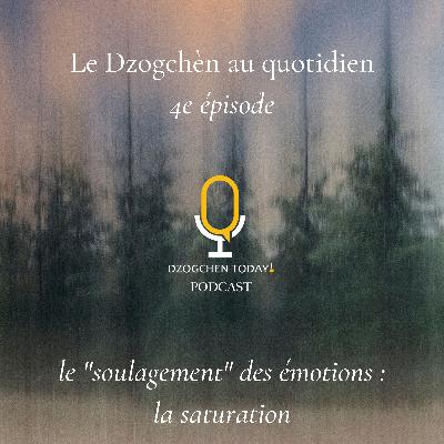 Le Dzogchèn et le “soulagement” des émotions au jour le jour (3) - la saturation