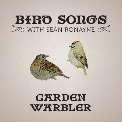 Garden Warbler | Bird Songs with Seán Ronayne Garden Warbler | Bird Songs with Seán Ronayne