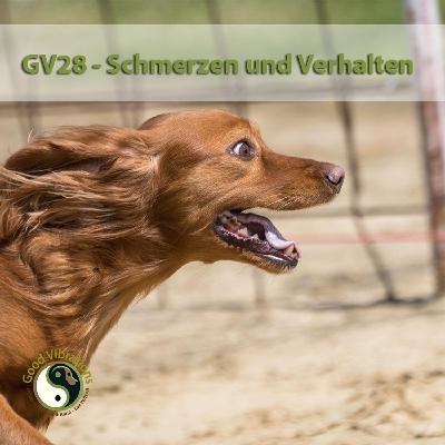 GV 28_Schmerz und Verhalten