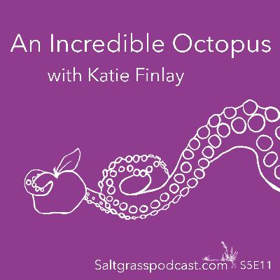 S5 E11 An Incredible Octopus with Katie Finlay S5 E11 An Incredible Octopus with Katie Finlay