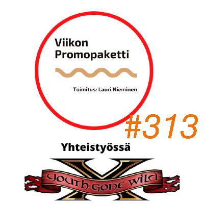 Viikon Promopaketti – Jakso #313
