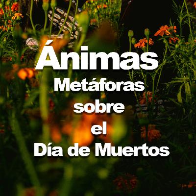 Ánimas. Metáforas sobre el #DíaDeMuertos