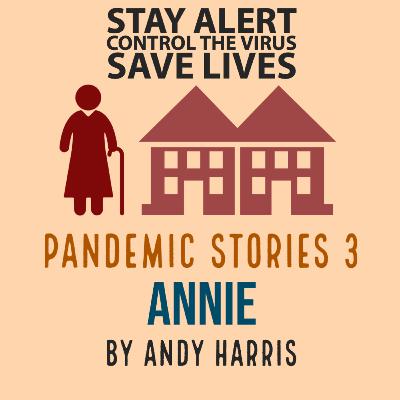 Pandemic Stories 3 - Annie Pandemic Stories 3 - Annie