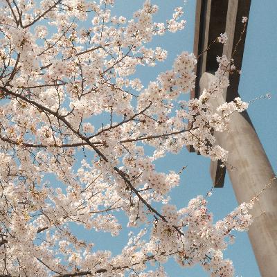 28 🇯🇵 熊野古道P人指南 4天走完60km 日本徒步是真的不吃苦! 28 🇯🇵 熊野古道P人指南 4天走完60km 日本徒步是真的不吃苦!