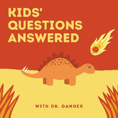 Can alligators climb?