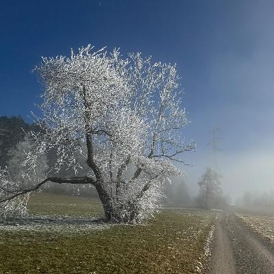 Kriterien einer positiven Mediennutzung Kriterien einer positiven Mediennutzung