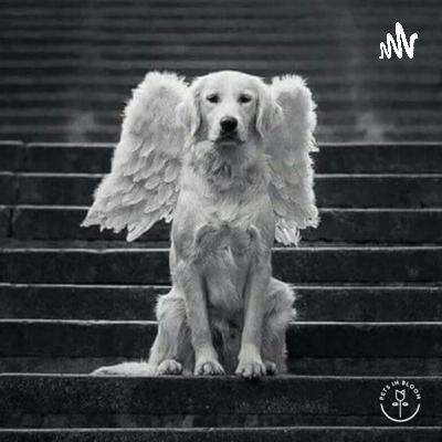 Having a sense of humour is fun and I like to make people laugh