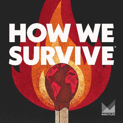 Bonus Episode:  How We Survive's The Uncanny Valley of Meat Bonus Episode:  How We Survive's The Uncanny Valley of Meat
