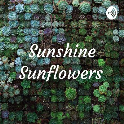 The Rise of Sunshine