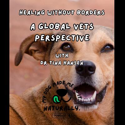 Healing without Borders: A Global Vets Perspective