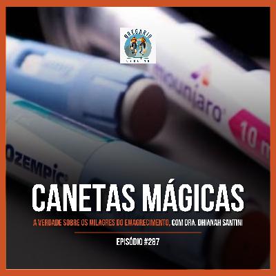 Episódio 287 - Canetas Mágicas, com Dra. Dhianah Santini