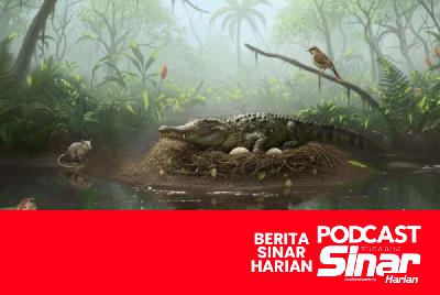 Fosil bukti buaya darat pemanjat pokok