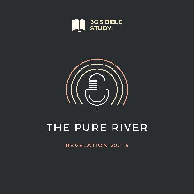 Revelation 22:1-5 - The Pure River Revelation 22:1-5 - The Pure River