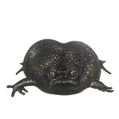 #10: Black Rain frogs lay ‘fake’ eggs to distract predators from their real eggs!?